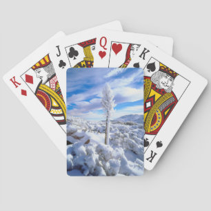 Jeu De Cartes Yucca enneigé