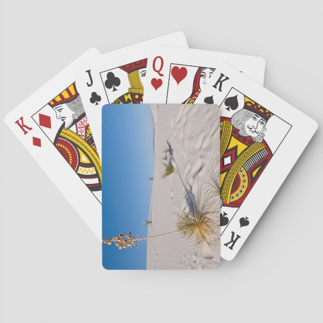 Jeu De Cartes Yucca Soaptree, ombre longue, Dunes transversales (dos)