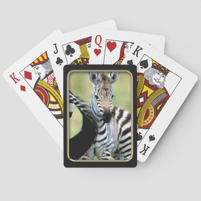 Jeu De Cartes Zebra Baby Photo Art Jouer des cartes (dos)