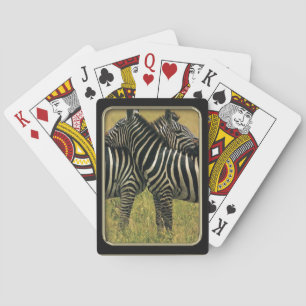 Jeu De Cartes Zebra Hugs Photo Art Jouer des cartes