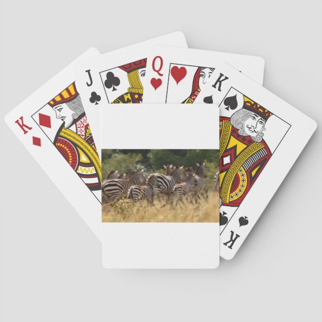 Jeu De Cartes Zèbres en mouvement : Un voyage de mille milles (dos)