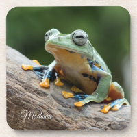 Jeu de dessous de verre de grenouille de nom perso