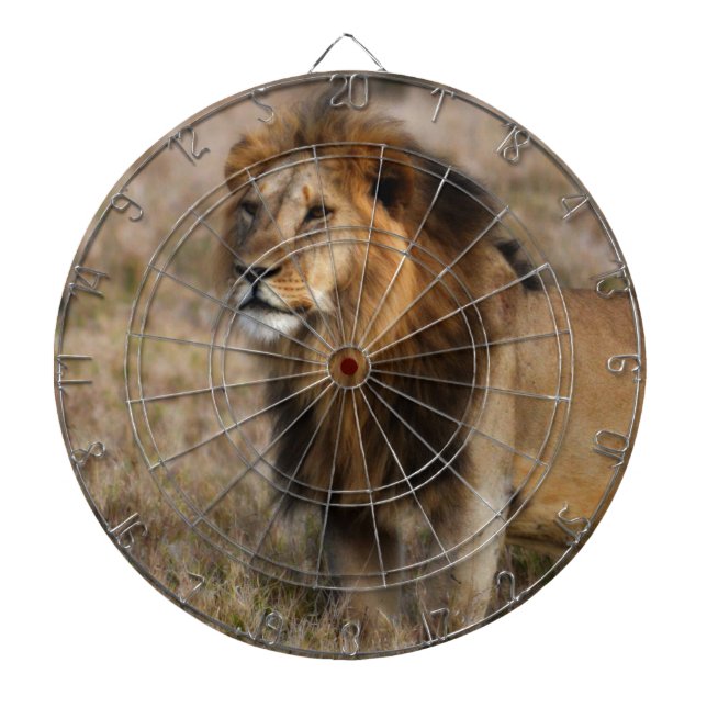 Jeu De Fléchettes African Lion (Devant)