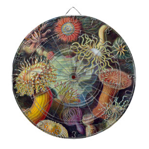 Jeu De Fléchettes Anémone de mer Nature scientifique Océan