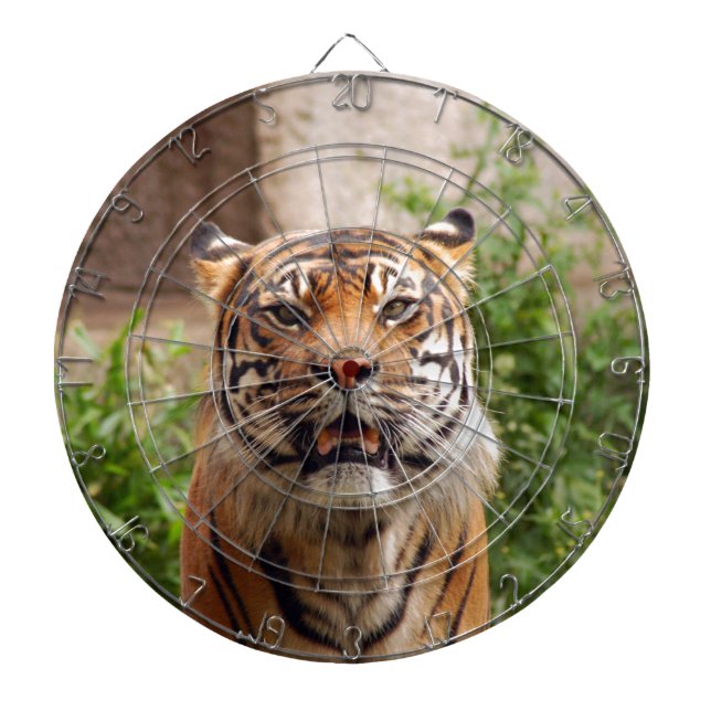 Jeu De Fléchettes Belle empreinte faciale tigre (Devant)