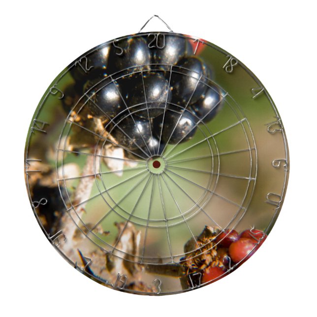 Jeu De Fléchettes Berries d'automne (Devant)