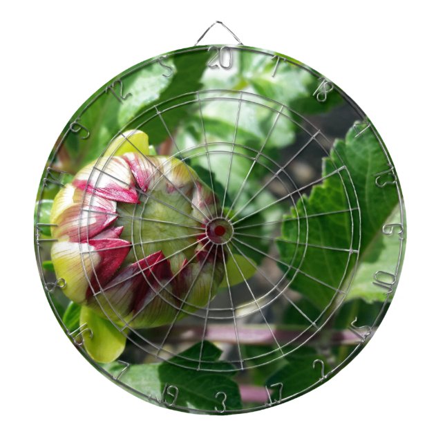Jeu De Fléchettes bourgeon d'automne (Devant)