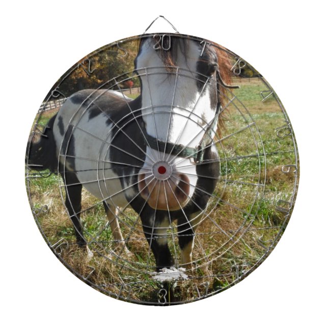 Jeu De Fléchettes Brown & White, Painted Horse, Queen Ann Lace flowe (Devant)
