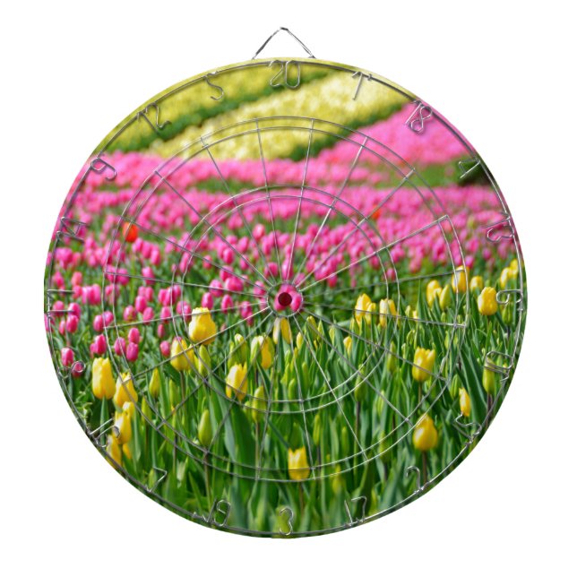 Jeu De Fléchettes Champs de couleurs (Devant)