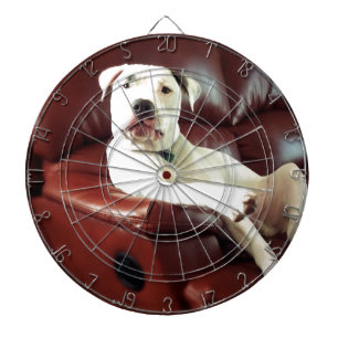 Jeu De Fléchettes chien pitbull blanc drôle sur le canapé