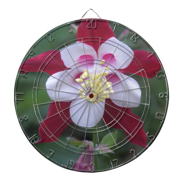 Jeu De Fléchettes Columbine (Devant)