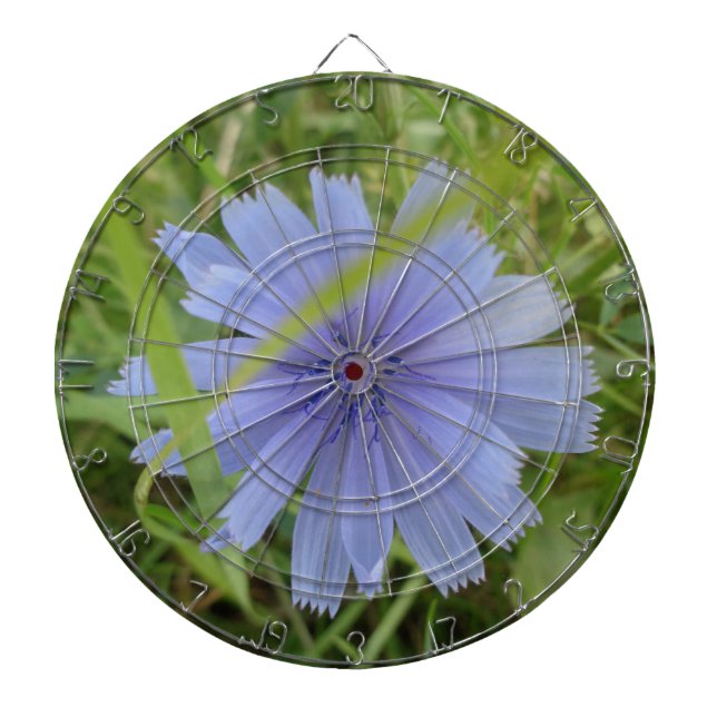 Jeu De Fléchettes Fleur florale Chicory bleu violet (Devant)