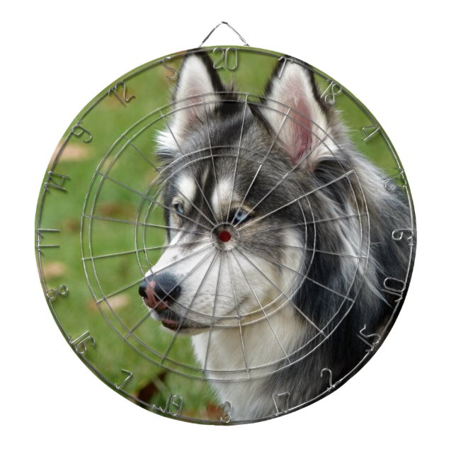 Jeu De Fléchettes Husky (Devant)
