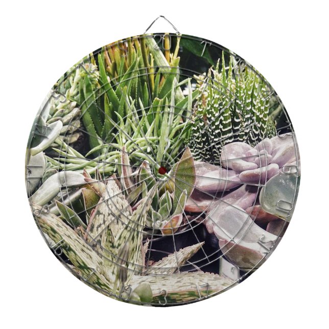 Jeu De Fléchettes Jardin de Cactus (Devant)