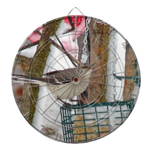 Jeu De Fléchettes Oiseau