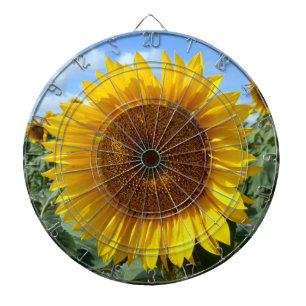Jeu De Fléchettes Panneau fléché de cage de métal de tournesol