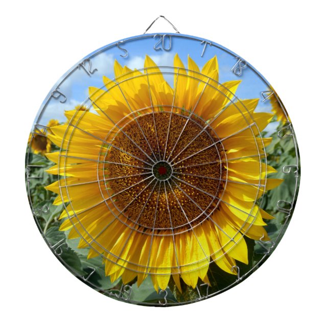 Jeu De Fléchettes Panneau fléché de cage de métal de tournesol (Devant)