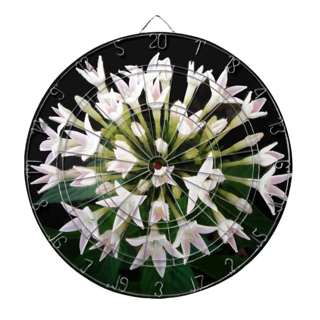 Jeu De Fléchettes Pentas blancs (Devant)