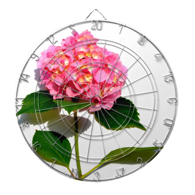 Jeu De Fléchettes Rose Hydrangea fleurs roses rose roses roses (Devant)