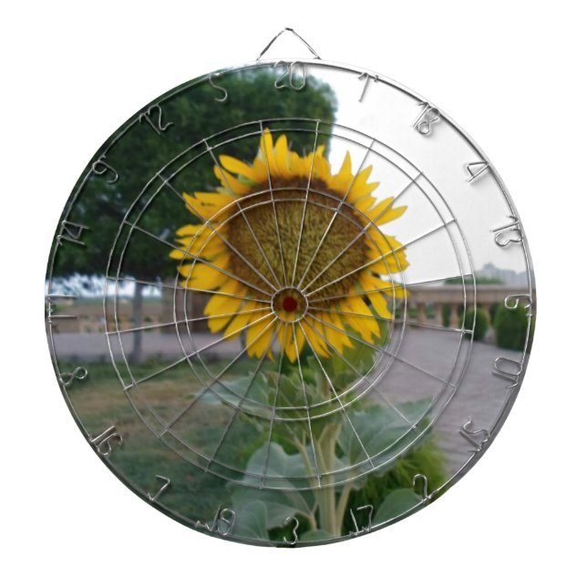 Jeu De Fléchettes Tournesol (Devant)