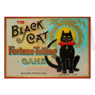 Jeu de narration Fortune Chat Noir