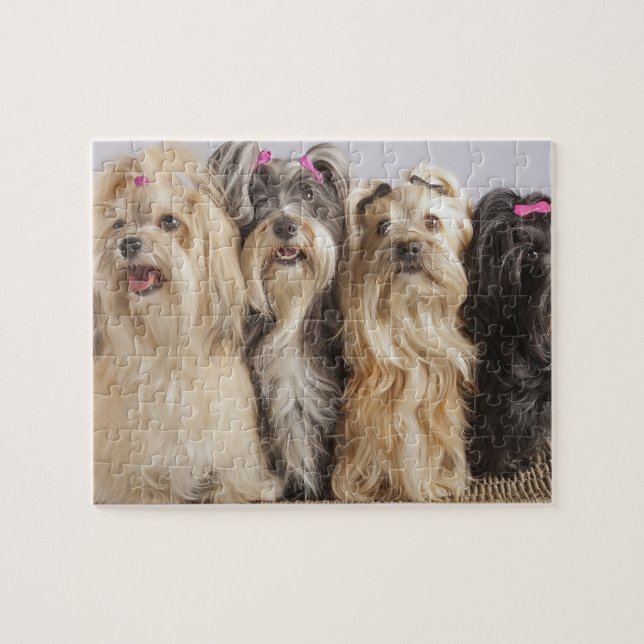Jeu de puzzle de chiots (Horizontal)
