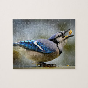 Jeu de puzzle Geai bleu