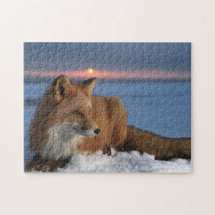 Jeu de puzzle Renard roux