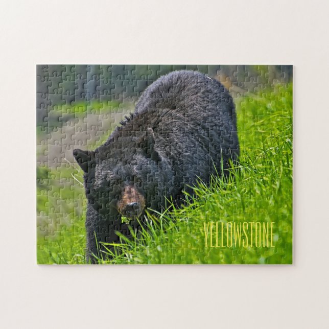 Jeu d'ours noir Yellowstone Puzzle (Horizontal)