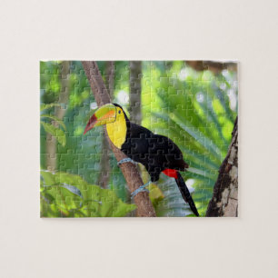 Jeu Puzzle Oiseau tropical