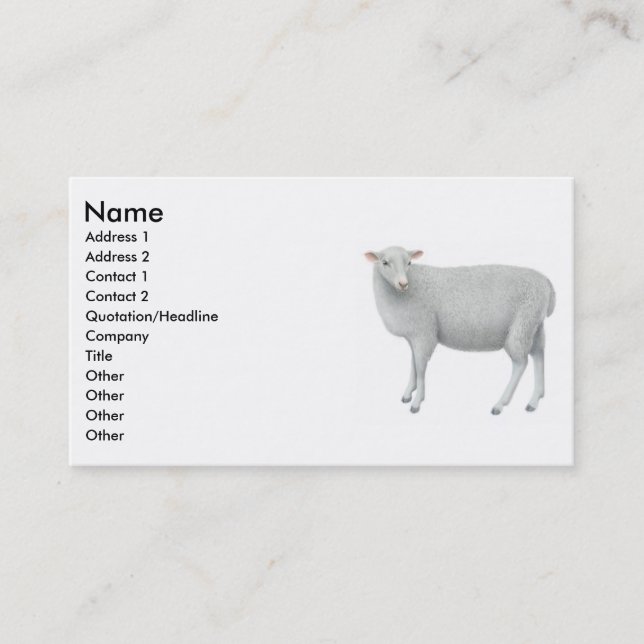 Jeune carte de visite de Sheepp (Devant)