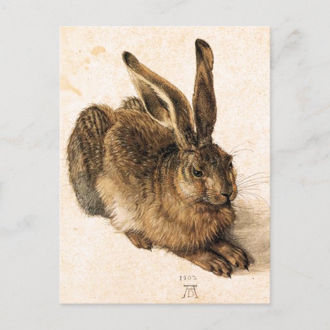 Jeune carte postale de lièvres d'Albrecht Durer (Devant)