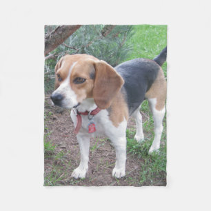 Jeune couverture mignonne d'ouatine de beagle