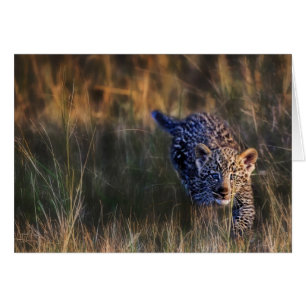 Jeune léopard Panthera Pardus