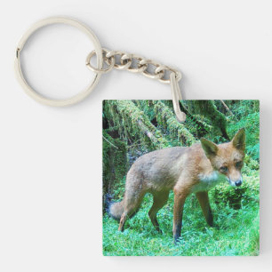Jeune Renard Rouge Poteau de Clôture Rustique Pays
