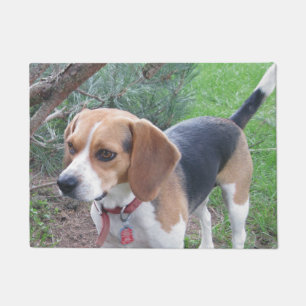Jeune tapis de porte de chien de beagle