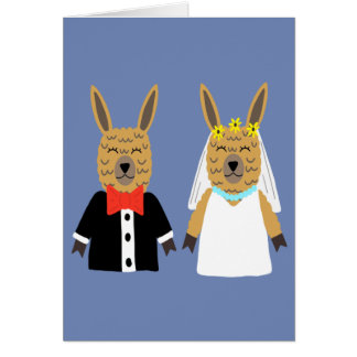 Jeunes mariés mignons de lama