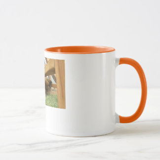 Jeunes poules heureuses dans leur nouvelle tasse