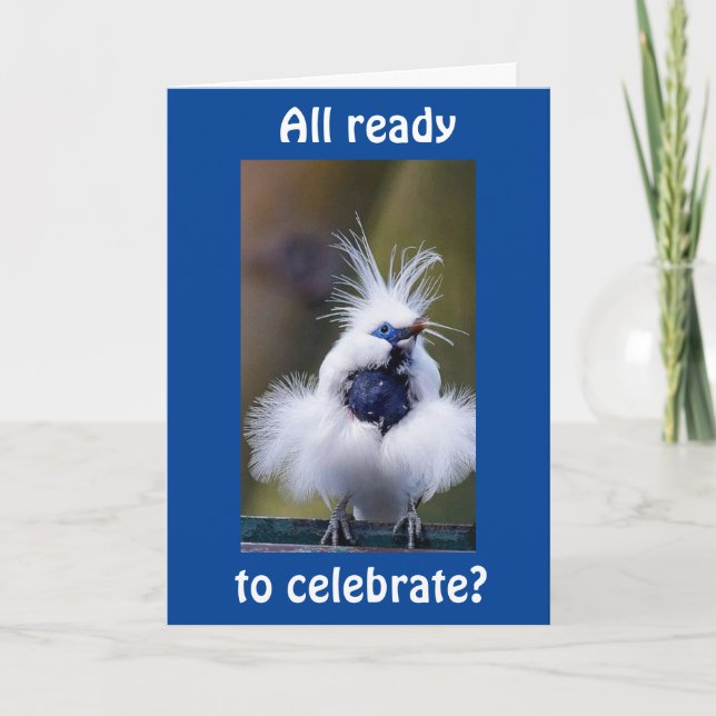 JEUX ANNIVERSAIRE DE LA CARTE "OISEAU COMÉDIQUE" (Devant)
