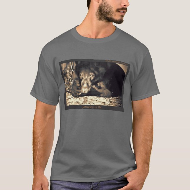 Jewel 2012 dark T-Shirt (Front)