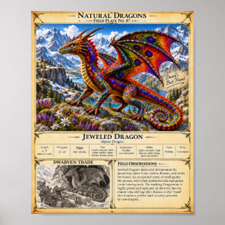 Jewelled Dragon Field Plate Poster