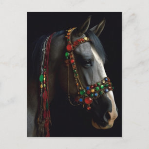 Jewelled Halter Horse Postcard