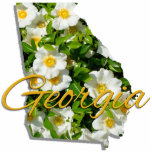 Jewellery - Pin - GEORGIA Photo Sculpture Button<br><div class="desc">Though sometimes called the "Empire State of the South", Georgia's official nickname is "The Peach State". No wonder. Georgia is the Number One producer of peanuts, pecans and peaches. The Cherokee Rose, lovely and fragrant, has a sad tale associated with it. A tragic event, in 1838, in which thousands of...</div>