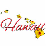 Jewellery - Pin - HAWAII Photo Sculpture Button<br><div class="desc">Aloha! Hawaii -- our jewel in the Pacific. Hawaii consists of eight MAIN islands: Niihau, Kauai, Oahu, Maui, Molokai, Lanai, Kahoolawe and the "Big Island" of Hawaii. The "Big Island" is getting even bigger. It is estimated that the island of Hawaii grows by more than 40 acres every year because...</div>