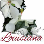 Jewellery - Pin - LOUISIANA Photo Sculpture Button<br><div class="desc">Jambalaya, Zydeco, Creole, Cajun, Jazz, Mardi Gras . . . all of those immediately bring to mind the beautifully diverse state of Louisiana. Some Louisiana urban environments have a multicultural, multilingual heritage, being so strongly influenced by a mixture of 18th-century French, Haitian, Spanish, Native American, and African cultures that they...</div>