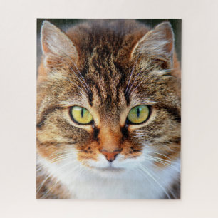 Jigsaw Puzzle
