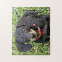 jigsaw puzzle -  Dachshund