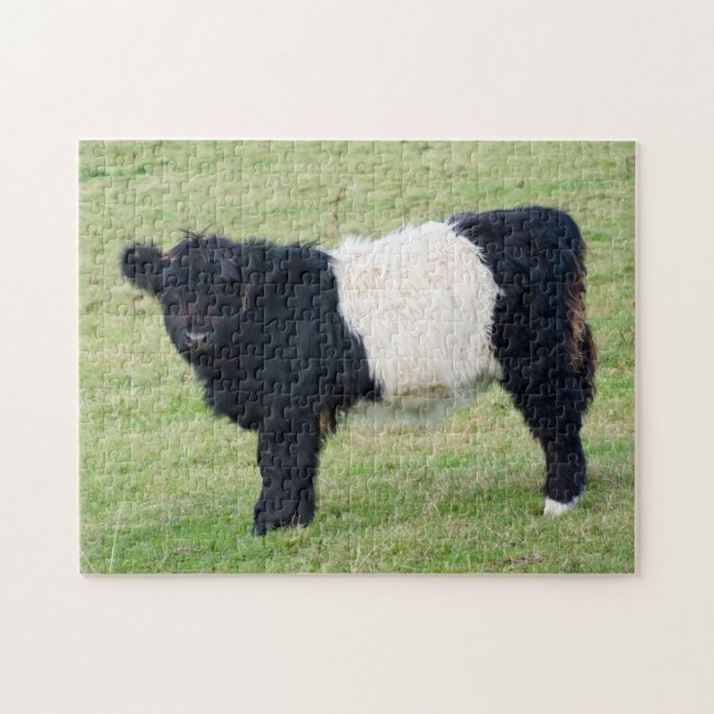 Jigsaw puzzle de veau de la ceinture (Horizontal)