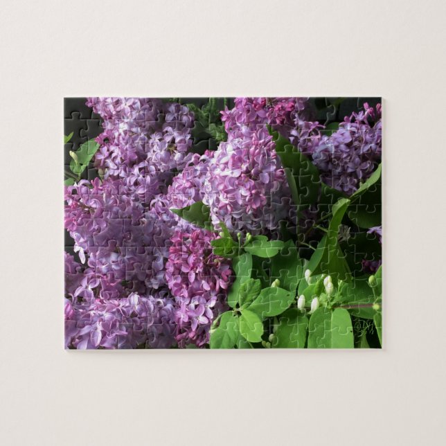 Jigsaw Puzzle:  LILACS Puzzle (Horizontal)
