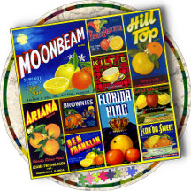 JIGSAW PUZZLE - Moonbeam : Produire des Étiquettes